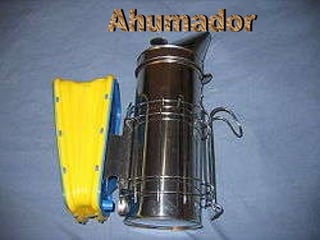 Ahumador 