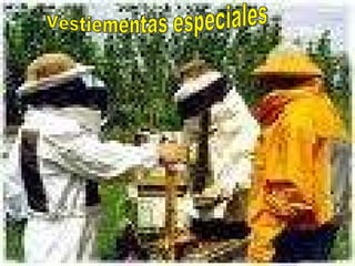 Vestiementas especiales 