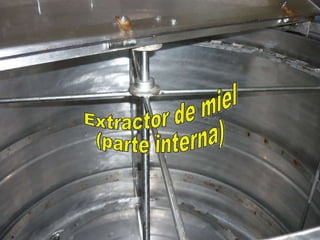 Extractor de miel (parte interna) 