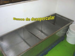 Banco de desopercular 