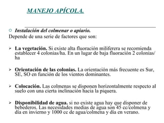 MANEJO APÍCOLA. Instalación del colmenar o apiario. Depende de una serie de factores que son: La vegetación.  Si existe alta fluoración miliferera se recomienda establecer 4 colonias/ha. En un lugar de baja fluoración 2 colonias/ha Orientación de las colonias .   La orientación más frecuente es Sur, SE, SO en función de los vientos dominantes.  Colocación.   Las colmenas se disponen horizontalmente respecto al suelo con una cierta inclinación hacia la piquera.  Disponibilidad de agua.  si no existe agua hay que disponer de bebederos. Las necesidades medias de agua son 45 cc/colmena y día en invierno y 1000 cc de agua/colmena y día en verano.  