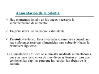 Alimentación de la colonia. Hay momentos del año en los que es necesaria la suplementación de alimento:   En primavera:  alimentación estimulante   En otoño-invierno:  Esta invernada se suministra cuando no hay suficientes reservas alimenticias para sobrevivir hasta la primavera siguiente.  La alimentación artificial se suministra mediante alimentadores, que son unos recipientes de muy diversas formas y tipos que contienen las papillas para que las recojan las abejas de la colonia.   