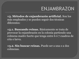 ENJAMBRAZON3. Métodos de enjambrazón artificial. Son los más empleados y se pueden seguir dos técnicas diferentes:3.1. Buscando reinas. Básicamente se trata de provocar la enjambrazón en la colonia partiendo una colmena madre fuerte que tenga entre 6 ó 7 cuadros de cría o larva. 3.2. Sin buscar reinas. Puede ser a una o a dos colmenas. 