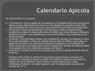 Calendario ApícolaSe suele dividir en tareas de:1) Primavera: Tras la salida de invernado es el reciclado de la cera porque las abejas se han alimentado de reservas y han dejado los panales vacíos. Hay que sustituirlos por otros nuevos y aprovechar los que estén en condiciones.2) Verano: Tareas de sustitución de reinas para evitar la enjambrazón, sustituir las reinas de más de dos años de edad. Las reinas de peor calidad se sustituyen al año y son aquellas que son poco fértiles y cuya colmena no da buena cosecha.3) Otoño: Una actividad común es la reunión de colonias. Se elimina la reina de la colonia débil, se coloca la colonia fuerte sobre la débil y entre ellas un papel de periódico con solución de plantas aromáticas o un excluidor de reinas para que se mezclen poco a poco. Después se elimina la colmena débil y los panales de cría y alimento se pasan a la fuerte.4) Invierno: Inspección de reservas para que dure la colonia durante todo el invierno.     Durante todo el año se realiza la inspección sanitaria para controlar los patógenos, Cuando vayamos a revisar una colmena, tenemos que tener en cuenta que no la debemos abrir si llueve o hace mucho frío, ya que enfriamos el interior, es mejor esperar a que la temperatura marque por encima de 12º C.