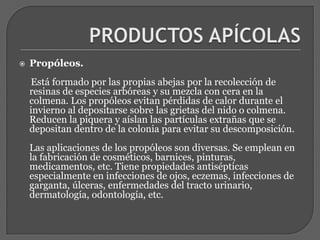 PRODUCTOS APÍCOLASPropóleos.     Está formado por las propias abejas por la recolección de resinas de especies arbóreas y su mezcla con cera en la colmena. Los propóleos evitan pérdidas de calor durante el invierno al depositarse sobre las grietas del nido o colmena. Reducen la piquera y aíslan las partículas extrañas que se depositan dentro de la colonia para evitar su descomposición.Las aplicaciones de los propóleos son diversas. Se emplean en la fabricación de cosméticos, barnices, pinturas, medicamentos, etc. Tiene propiedades antisépticas especialmente en infecciones de ojos, eczemas, infecciones de garganta, úlceras, enfermedades del tracto urinario, dermatología, odontología, etc.