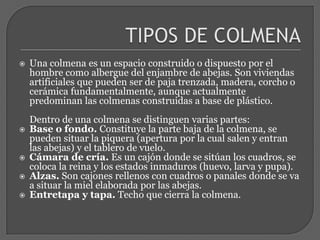  Las Obreras Las obreras son las verdaderas trabajadoras de la colmena, desde que nace una obrera va pasando por distintas tareas dentro de la colmena: hacer cera, limpiar, alimentar, guardianas, y por último pecoreadoras.TIPOS DE COLMENAUna colmena es un espacio construido o dispuesto por el hombre como albergue del enjambre de abejas. Son viviendas artificiales que pueden ser de paja trenzada, madera, corcho o cerámica fundamentalmente, aunque actualmente predominan las colmenas construidas a base de plástico.Dentro de una colmena se distinguen varias partes:Base o fondo. Constituye la parte baja de la colmena, se pueden situar la piquera (apertura por la cual salen y entran las abejas) y el tablero de vuelo.Cámara de cría. Es un cajón donde se sitúan los cuadros, se coloca la reina y los estados inmaduros (huevo, larva y pupa).Alzas. Son cajones rellenos con cuadros o panales donde se va a situar la miel elaborada por las abejas.Entretapa y tapa. Techo que cierra la colmena.