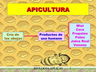 APICULTURA Cría de las abejas Productos de  uso humano Miel Cera Propoleo Polen Jalea Real Veneno 
