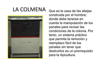 LA COLMENA   Que es la casa de las abejas
             construida por el hombre;
             donde debe tenerse en
             cuenta la manipulación de los
             panales para revisar las
             condiciones de la colonia. Por
             tanto, un sistema práctico
             que permita la remoción y
             reemplazo fácil de los
             panales sin tener que
             destruirlos es un prerrequisito
             para la Apicultura.
 