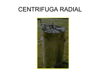 CENTRIFUGA RADIAL
 