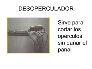 DESOPERCULADOR

         Sirve para
         cortar los
         operculos
         sin dañar el
         panal
 