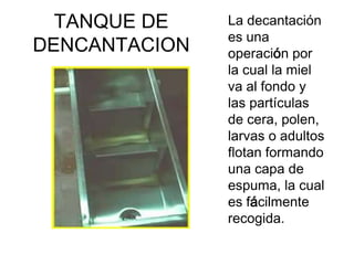TANQUE DE    La decantación
               es una
DENCANTACION   operación por
               la cual la miel
               va al fondo y
               las partículas
               de cera, polen,
               larvas o adultos
               flotan formando
               una capa de
               espuma, la cual
               es fácilmente
               recogida.
 