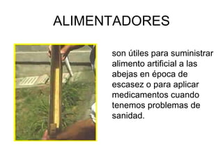 ALIMENTADORES

      son útiles para suministrar
      alimento artificial a las
      abejas en época de
      escasez o para aplicar
      medicamentos cuando
      tenemos problemas de
      sanidad.
 