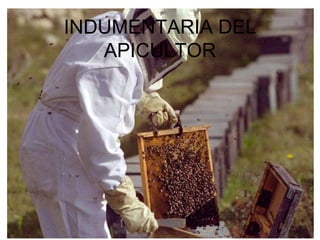 INDUMENTARIA DEL
   APICULTOR
 
