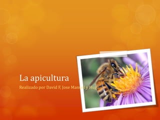 La apicultura
Realizado por David F, Jose Manuel y Hugo
 