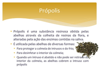  Própolis é uma substância resinosa obtida pelas
abelhas através da colheita de resinas da flora, e
alteradas pela ação das enzimas contidas na saliva.
 É utilizada pelas abelhas de diversas formas:
 Para proteger a colmeia de intrusos e do frio;
 Para desinfetar o interior da colmeia;
 Quando um intruso é abatido e não pode ser retirado do
interior da colmeia, as abelhas cobrem o intruso com
própolis
Própolis
 