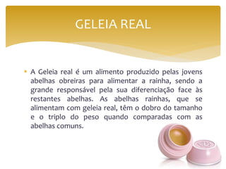  A Geleia real é um alimento produzido pelas jovens
abelhas obreiras para alimentar a rainha, sendo a
grande responsável pela sua diferenciação face às
restantes abelhas. As abelhas rainhas, que se
alimentam com geleia real, têm o dobro do tamanho
e o triplo do peso quando comparadas com as
abelhas comuns.
GELEIA REAL
 
