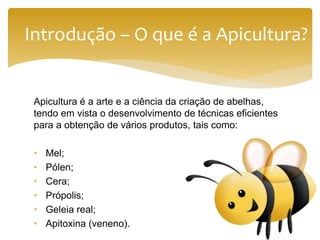 Apicultura é a arte e a ciência da criação de abelhas,
tendo em vista o desenvolvimento de técnicas eficientes
para a obtenção de vários produtos, tais como:
• Mel;
• Pólen;
• Cera;
• Própolis;
• Geleia real;
• Apitoxina (veneno).
Introdução – O que é a Apicultura?
 