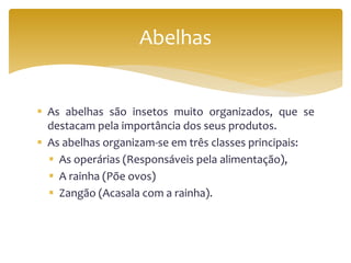  As abelhas são insetos muito organizados, que se
destacam pela importância dos seus produtos.
 As abelhas organizam-se em três classes principais:
 As operárias (Responsáveis pela alimentação),
 A rainha (Põe ovos)
 Zangão (Acasala com a rainha).
Abelhas
 