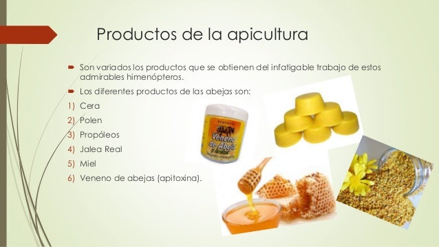 La eccema seca de las palmas