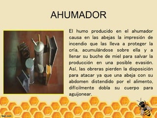 AHUMADOR
El humo producido en el ahumador
causa en las abejas la impresión de
incendio que las lleva a proteger la
cría, acumulándose sobre ella y a
llenar su buche de miel para salvar la
producción en una posible evasión.
Así, las obreras pierden la disposición
para atacar ya que una abeja con su
abdomen distendido por el alimento,
difícilmente dobla su cuerpo para
aguijonear.
 