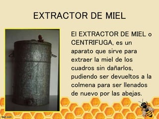EXTRACTOR DE MIEL
El EXTRACTOR DE MIEL o
CENTRIFUGA, es un
aparato que sirve para
extraer la miel de los
cuadros sin dañarlos,
pudiendo ser devueltos a la
colmena para ser llenados
de nuevo por las abejas.
 
