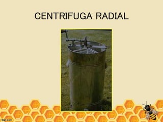 CENTRIFUGA RADIAL
 