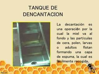 TANQUE DE
DENCANTACION
La decantación es
una operación por la
cual la miel va al
fondo y las partículas
de cera, polen, larvas
o adultos flotan
formando una capa
de espuma, la cual es
fácilmente recogida.
 