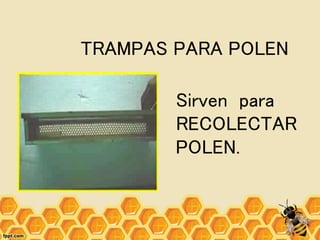 TRAMPAS PARA POLEN
Sirven para
RECOLECTAR
POLEN.
 