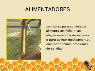 ALIMENTADORES
son útiles para suministrar
alimento artificial a las
abejas en época de escasez
o para aplicar medicamentos
cuando tenemos problemas
de sanidad.
 