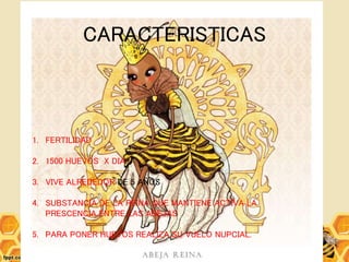 CARACTERISTICAS
1. FERTILIDAD
2. 1500 HUEVOS X DIA
3. VIVE ALREDEDOR DE 5 AÑOS
4. SUBSTANCIA DE LA REINA QUE MANTIENE ACTIVA LA
PRESCENCIA ENTRE LAS ABEJAS
5. PARA PONER HUEVOS REALIZA SU VUELO NUPCIAL.
 