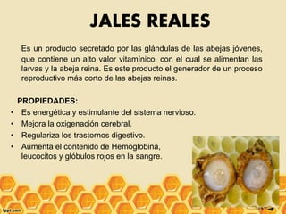 JALES REALES
Es un producto secretado por las glándulas de las abejas jóvenes,
que contiene un alto valor vitamínico, con el cual se alimentan las
larvas y la abeja reina. Es este producto el generador de un proceso
reproductivo más corto de las abejas reinas.
PROPIEDADES:
• Es energética y estimulante del sistema nervioso.
• Mejora la oxigenación cerebral.
• Regulariza los trastornos digestivo.
• Aumenta el contenido de Hemoglobina,
leucocitos y glóbulos rojos en la sangre.
 
