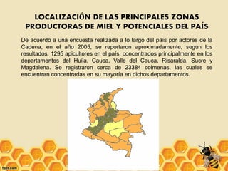 LOCALIZACIÓN DE LAS PRINCIPALES ZONAS
PRODUCTORAS DE MIEL Y POTENCIALES DEL PAÍS
De acuerdo a una encuesta realizada a lo largo del país por actores de la
Cadena, en el año 2005, se reportaron aproximadamente, según los
resultados, 1295 apicultores en el país, concentrados principalmente en los
departamentos del Huila, Cauca, Valle del Cauca, Risaralda, Sucre y
Magdalena. Se registraron cerca de 23384 colmenas, las cuales se
encuentran concentradas en su mayoría en dichos departamentos.
 