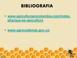 BIBLIOGRAFIA
• www.apiculturaencolombia.com/index.
php/que-es-apicultura
• www.agrocadenas.gov.co
 