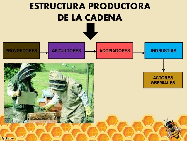 Apicultura