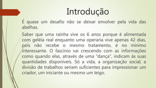 Introdução
É quase um desafio não se deixar envolver pela vida das
abelhas.
Saber que uma rainha vive os 6 anos porque é alimentada
com geléia real enquanto uma operaria vive apenas 42 dias,
pois não recebe o mesmo tratamento, é no mínimo
interessante. O fascínio vai crescendo com as informações
como quando elas, através de uma “dança”, indicam às suas
quantidades disponíveis. Só a vida, a organização social, a
divisão de trabalhos seriam suficientes para impressionar um
criador, um iniciante ou mesmo um leigo.
 