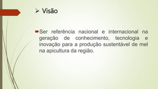  Visão
Ser referência nacional e internacional na
geração de conhecimento, tecnologia e
inovação para a produção sustentável de mel
na apicultura da região.
 