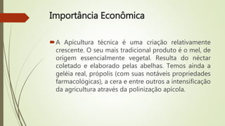 Importância Econômica
A Apicultura técnica é uma criação relativamente
crescente. O seu mais tradicional produto é o mel, de
origem essencialmente vegetal. Resulta do néctar
coletado e elaborado pelas abelhas. Temos ainda a
geléia real, própolis (com suas notáveis propriedades
farmacológicas), a cera e entre outros a intensificação
da agricultura através da polinização apícola.
 