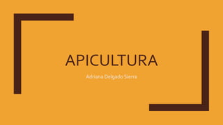 APICULTURA
Adriana Delgado Sierra
 