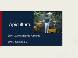 Apicultura
Davi Guimarães de Almeida
UNIG Campus V

 