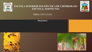 ESCUELA SUPERIOR POLITÉCNICA DE CHIMBORAZO
ESCUELA: ZOOTECNIA
TEMA: APICULTURA
Integrantes:
 