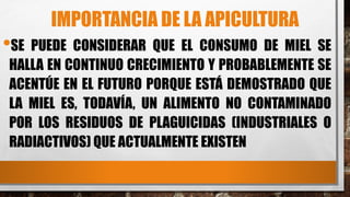 IMPORTANCIA DE LA APICULTURA
•SE PUEDE CONSIDERAR QUE EL CONSUMO DE MIEL SE
HALLA EN CONTINUO CRECIMIENTO Y PROBABLEMENTE SE
ACENTÚE EN EL FUTURO PORQUE ESTÁ DEMOSTRADO QUE
LA MIEL ES, TODAVÍA, UN ALIMENTO NO CONTAMINADO
POR LOS RESIDUOS DE PLAGUICIDAS (INDUSTRIALES O
RADIACTIVOS) QUE ACTUALMENTE EXISTEN
 