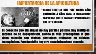 IMPORTANCIA DE LA APICULTURA
•ALBERT EINSTEIN DIJO “SIN ABEJAS SÓLO
QUEDARÍAN 4 AÑOS PARA LA HUMANIDAD”
ES POR ESO QUE ES BASTANTE PREOCUPANTE
QUE ESTO SUCEDA.
Es conocido que sin abejas no hay paraíso posible. Hay múltiples
razones de se desaparición, siendo la más preocupante la que
tiene relación con tóxicos pesticidas utilizados en cultivos
transgénicos. Pero también hay otra cara de la misma moneda.
 
