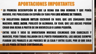 APORTACIONES IMPORTANTES
• LA PRIMERA DESCRIPCIÓN DE QUE LA REINA ERA UNA HEMBRA Y QUE PONÍA
HUEVOS, FUE PUBLICADA EN ESPAÑA EN 1586 POR LUIS MÉNDEZ DE TORRES.
•EN INGLATERRA CARLOS BUTLER ESCRIBIÓ EN 1609, QUE LOS ZÁNGANOS ERAN
MACHOS; NIKEL JACOB, PUBLICÓ EN ALEMANIA, EN 1568, QUE LAS ABEJAS PODÍAN
CRIAR UNA REINA A PARTIR DE UN HUEVECILLO O LARVA PEQUEÑA.
•ENTRE 1650 Y 1850 SE INVENTARON MUCHAS COLMENAS CON CABEZALES Y
MARCOS, PERO TODAS FALLARON EN EL PUNTO FUNDAMENTAL: LAS ABEJAS SIEMPRE
FIJABAN LOS PANALES A LAS PAREDES DE LA CAJA Y ENTRE ELLOS, POR LO QUE SOLO
SE LES PODÍA EXTRAER CORTÁNDOLOS.
 