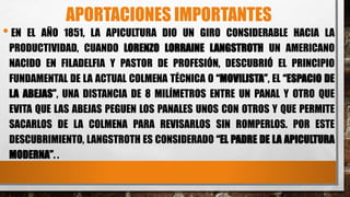 APORTACIONES IMPORTANTES
•EN EL AÑO 1851, LA APICULTURA DIO UN GIRO CONSIDERABLE HACIA LA
PRODUCTIVIDAD, CUANDO LORENZO LORRAINE LANGSTROTH UN AMERICANO
NACIDO EN FILADELFIA Y PASTOR DE PROFESIÓN, DESCUBRIÓ EL PRINCIPIO
FUNDAMENTAL DE LA ACTUAL COLMENA TÉCNICA O “MOVILISTA”, EL “ESPACIO DE
LA ABEJAS”, UNA DISTANCIA DE 8 MILÍMETROS ENTRE UN PANAL Y OTRO QUE
EVITA QUE LAS ABEJAS PEGUEN LOS PANALES UNOS CON OTROS Y QUE PERMITE
SACARLOS DE LA COLMENA PARA REVISARLOS SIN ROMPERLOS. POR ESTE
DESCUBRIMIENTO, LANGSTROTH ES CONSIDERADO “EL PADRE DE LA APICULTURA
MODERNA”. .
 