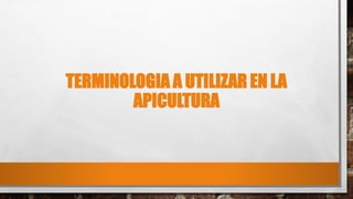 TERMINOLOGIA A UTILIZAR EN LA
APICULTURA
 