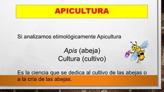 Si analizamos etimológicamente Apicultura
Apis (abeja)
Cultura (cultivo)
Es la ciencia que se dedica al cultivo de las abejas o
a la cría de las abejas.
APICULTURA
 