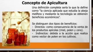 Concepto de Apicultura
Una definición completa sería la que la define
como “la ciencia aplicada que estudia la abeja
melífera y mediante la tecnología se obtienen
beneficios económicos”.
Se distinguen dos tipos de beneficios:
- Directos: como consecuencia de la venta de
los productos apícolas (miel, polen y cera).
- Indirectos: debida a la acción que realiza
como vector de polen en los cultivos.
 
