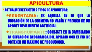 7
APICULTURA
•ACTUALMENTE EXISTEN 2 TIPOS DE APICULTURA:
•SEDENTARIA: ES AQUELLA EN LA QUE LA
UBICACIÓN DE LA COLMENA NO VARÍA Y PRECISA DE UN
APORTE DE ALIMENTO ARTIFICIAL.
•TRANSHUMANTE: CONSISTE EN IR CAMBIANDO
LA SITUACIÓN GEOGRÁFICA DEL APIARIO CON EL FIN DE
OBTENER UN MÁXIMO DE PRODUCCIÓN.
 