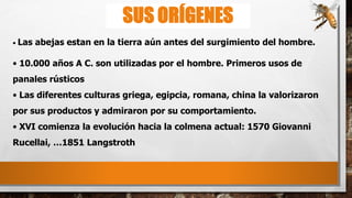 SUS ORÍGENES
• Las abejas estan en la tierra aún antes del surgimiento del hombre.
• 10.000 años A C. son utilizadas por el hombre. Primeros usos de
panales rústicos
• Las diferentes culturas griega, egipcia, romana, china la valorizaron
por sus productos y admiraron por su comportamiento.
• XVI comienza la evolución hacia la colmena actual: 1570 Giovanni
Rucellai, …1851 Langstroth
 