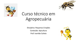 Curso técnico em
Agropecuária
Disciplina: Pequenas Criações
Conteúdo: Apicultura
Prof. Ivanildo Calixto
 